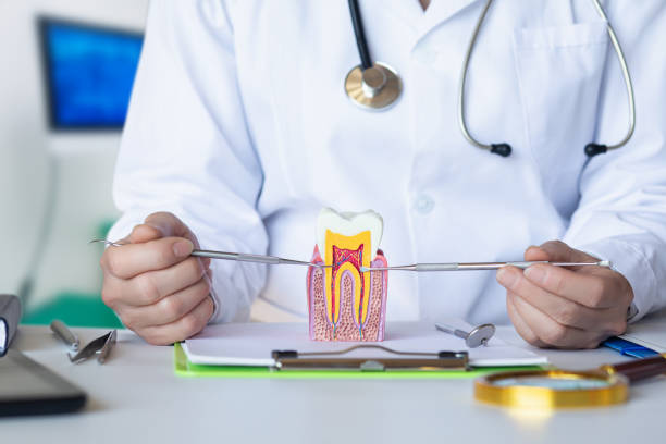 Best Emergency Denture Repair in La Vergne, TN